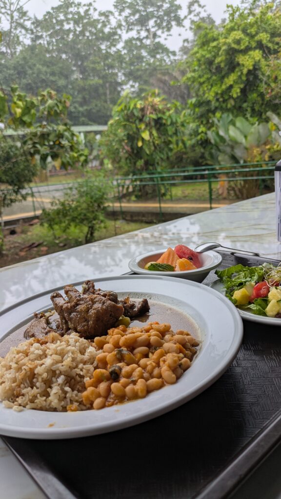 plate of rice beans and beef