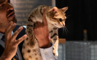 hombre con gato en la mano