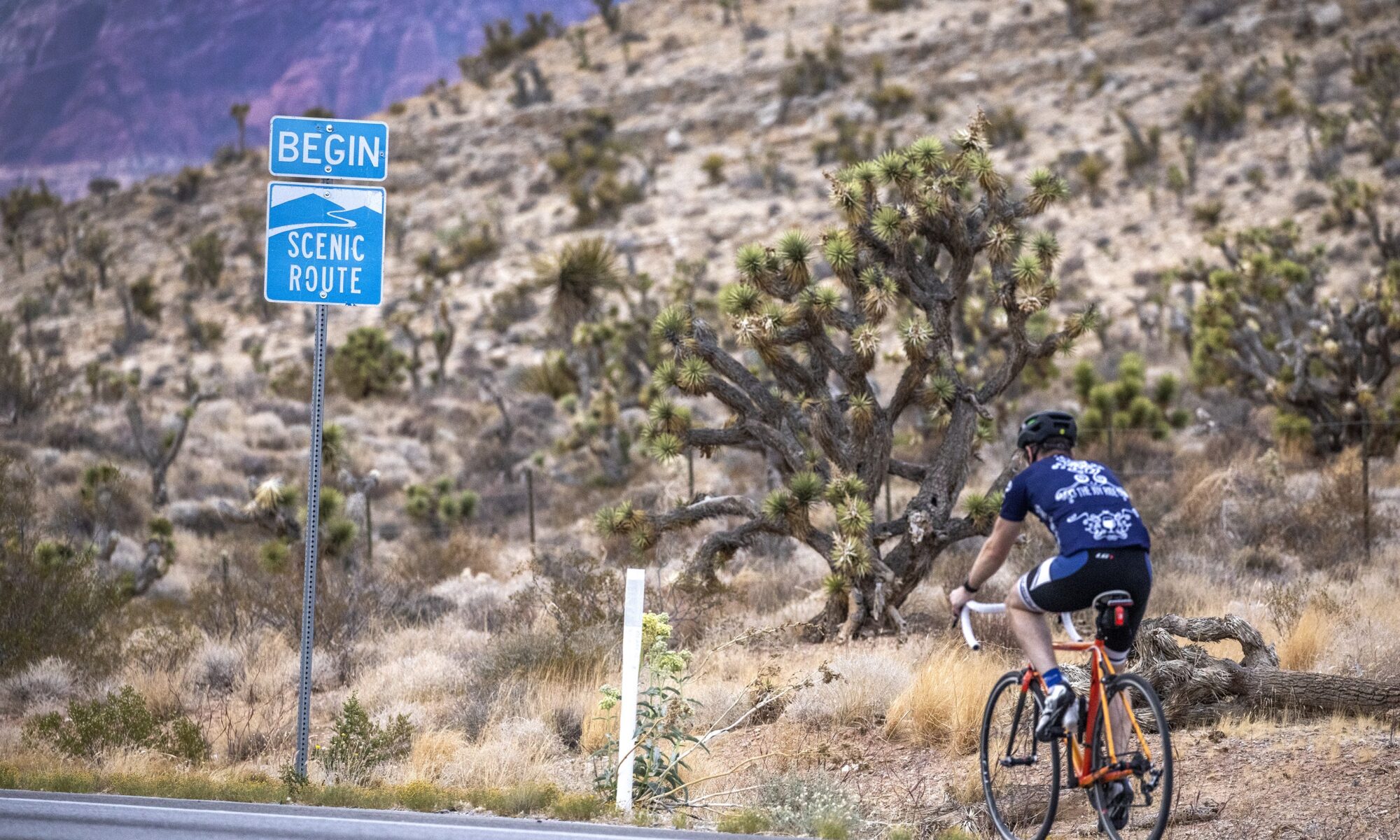 Un ciclista recorre la Ruta Estatal 159 en el Área de Conservación Nacional de Red Rock Canyon