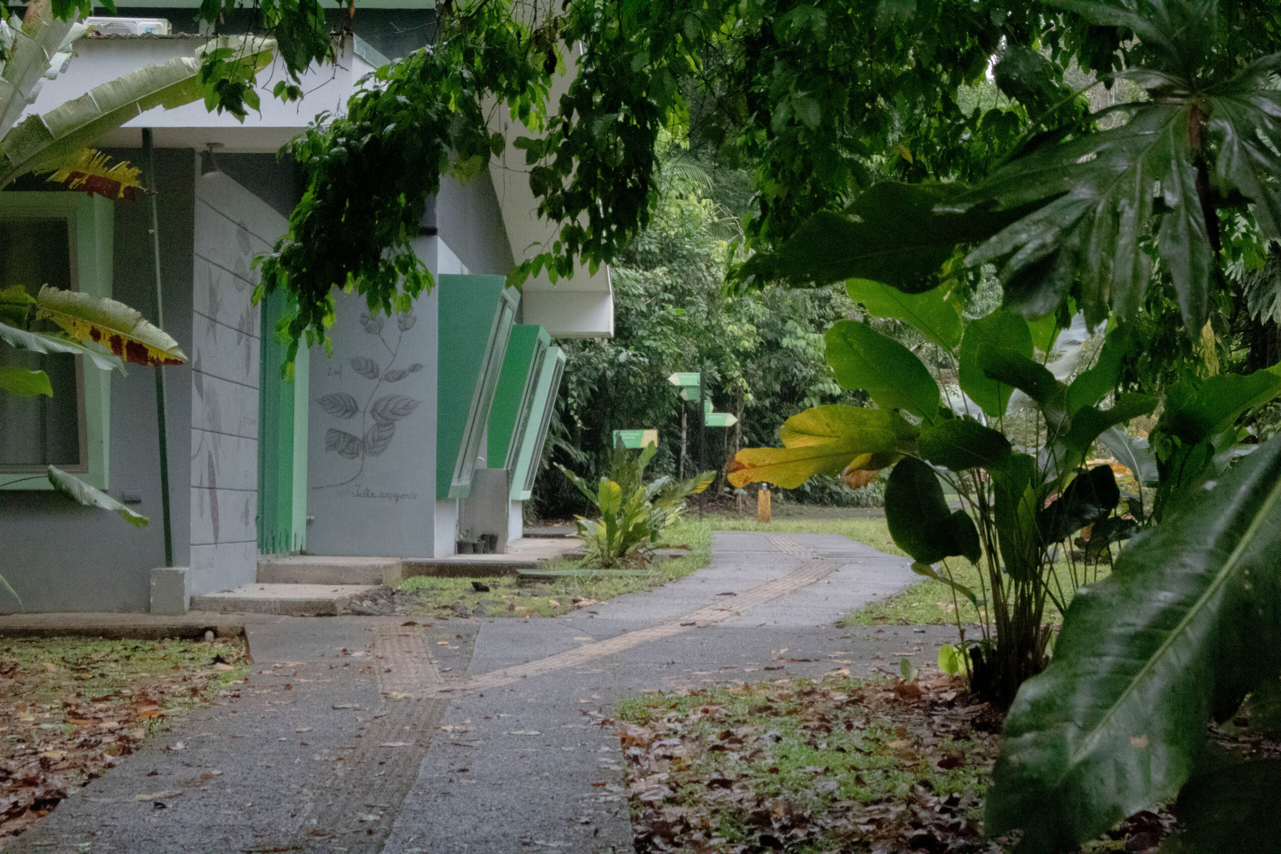 Más allá de La Selva: cómo&hellip;