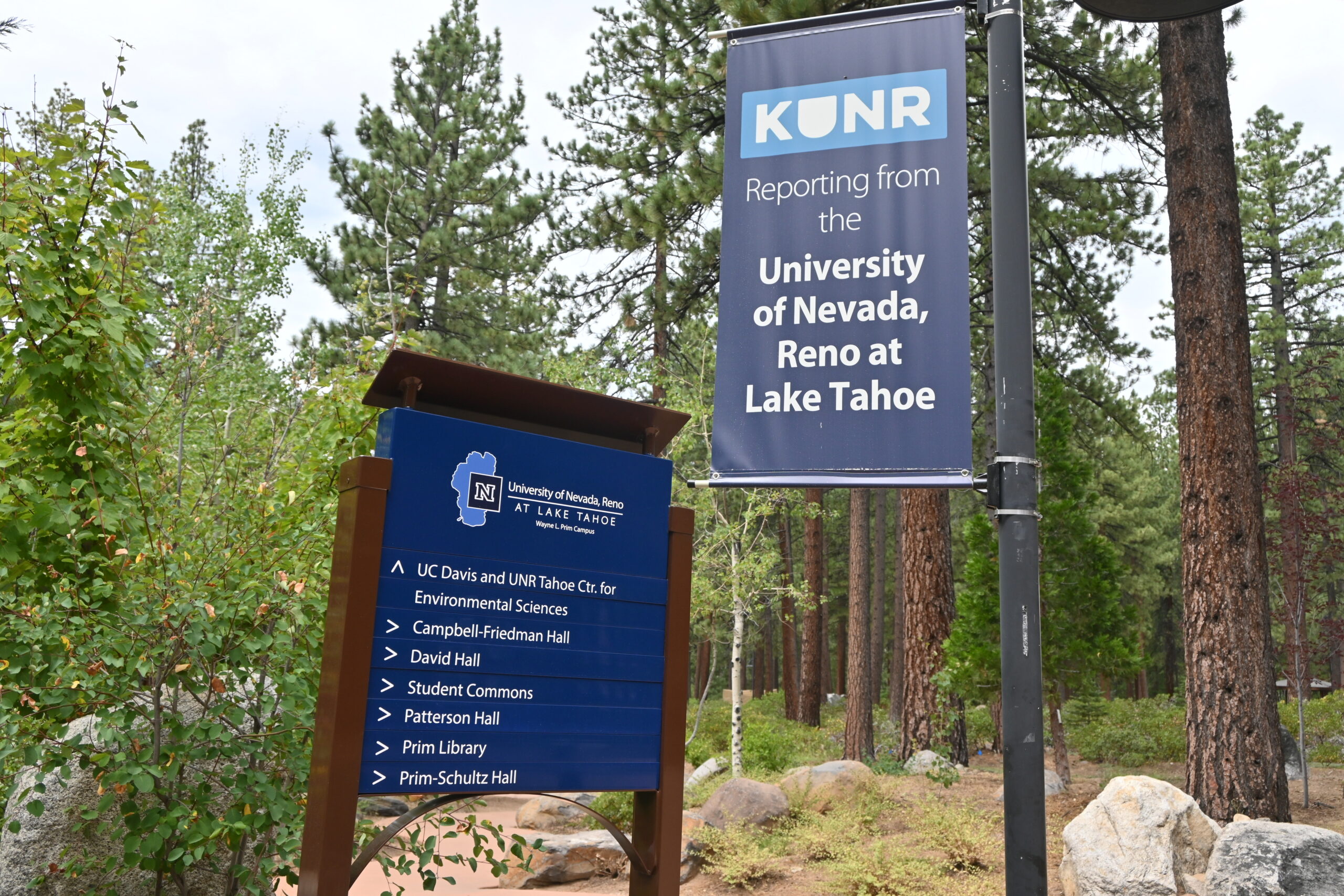 letras blancas sobre carteles azules delante de los árboles