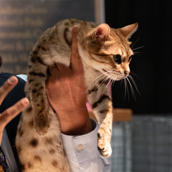 hombre con gato en la mano