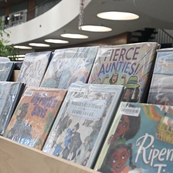 libros de la biblioteca en las estanterías
